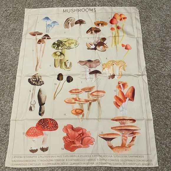 Mushroom Varieties Chart Tapestry Wall Decor - Picture 7 of 7
